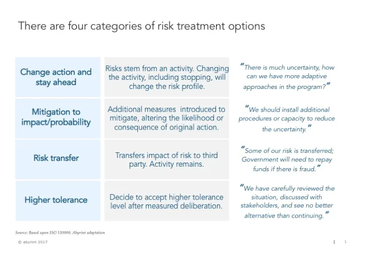 Risk treatment options Abyrint